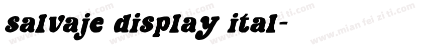 salvaje display ital字体转换